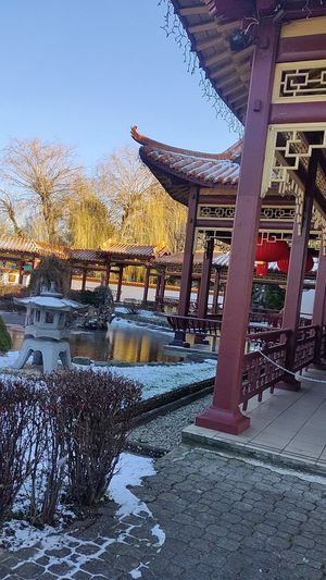  at Meister Xiao in Vienna