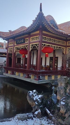  at Meister Xiao in Vienna