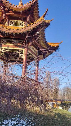  at Meister Xiao in Vienna