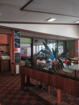 Looks like a kids birthday party venue (in a good way) #Veganuary at Roots Cafe in Hakuba