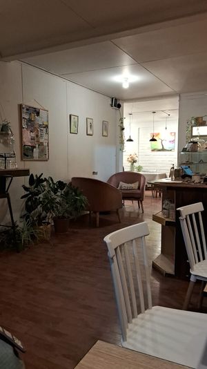  at Nomad Coffee natales in Puerto Natales