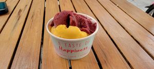 Acai & Mango at Il Gelato Hawaii in Honolulu