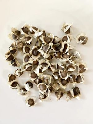  at Coco Jelly Cottage in Ukiah