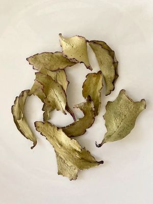  at Coco Jelly Cottage in Ukiah