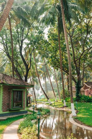  at Kairali - The Ayurvedic Healing Village in Palakkad