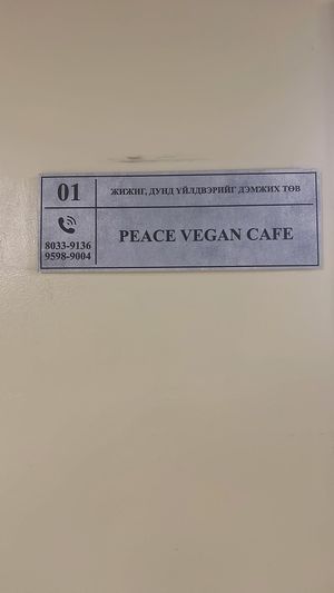  at Peace Vegan Cafe in Choibalsan