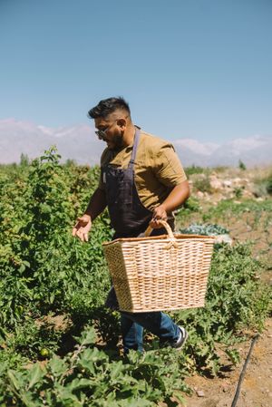  at Autentico Chacayes in Mendoza