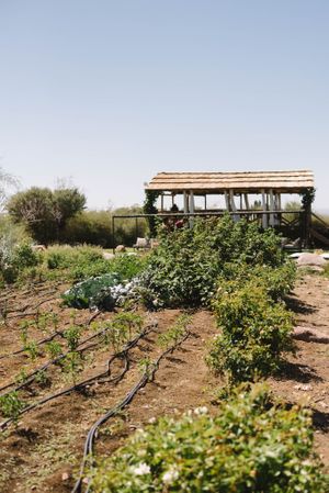  at Autentico Chacayes in Mendoza