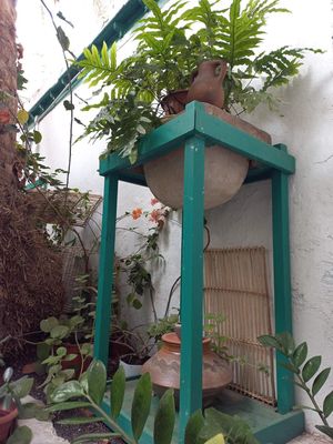 Outside space at EL Jardín Secreto Arrecife in Lanzarote