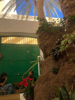 Outside space at EL Jardín Secreto Arrecife in Lanzarote