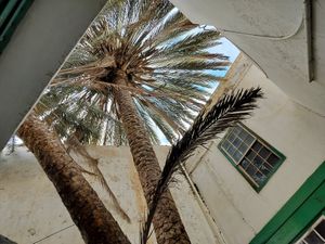  at EL Jardín Secreto Arrecife in Lanzarote