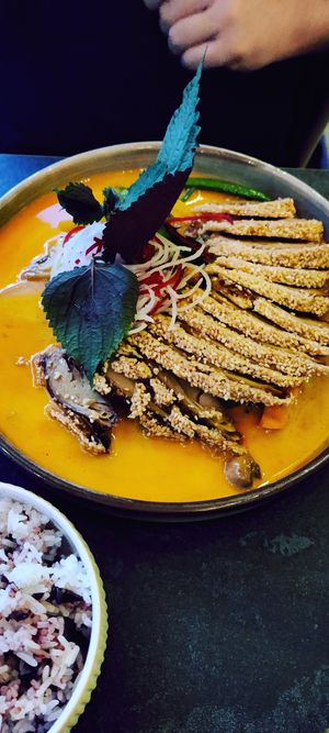 Curry Duck at Akimy in Munich