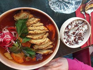 B2 fri duck black rice at Akimy in Munich