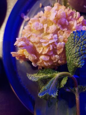 Tofu flakes at Akimy in Munich