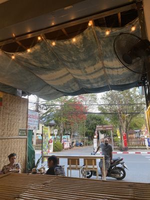 Vibe  at Free Bird Cafe Pai in Pai