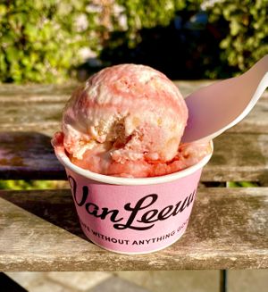 Strawberry shortcake vegan✨delicious   at Van Leeuwen Ice Cream in Los Angeles