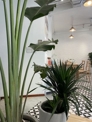  #Veganuary at iVegan Supershop Old Quarter Hanoi - Healthy Plant Based Cafe in Hanoi