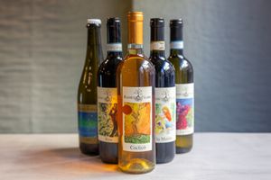 Vegan and organic wines at Dastra in Turin