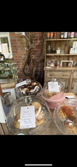   at Braxton Gardens and Tea Rooms in Lymington