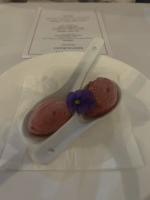 Sorbet palette cleanser between courses   at The Gates Restaurant - Leogate Estate  in Pokolbin