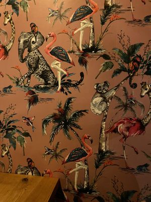   at Franz Robert in Traunreut