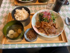  at Silver Backs Cafe in Kyoto