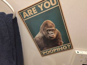  at Silver Backs Cafe in Kyoto