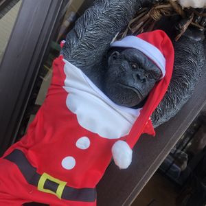   at Silver Backs Cafe in Kyoto