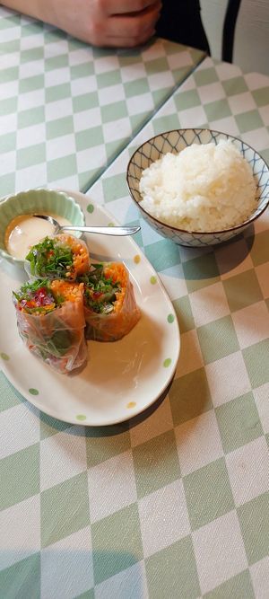 Spring roll at Silver Backs Cafe in Kyoto