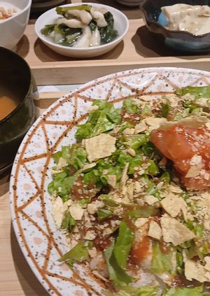 Tacco rice bowl at Silver Backs Cafe in Kyoto