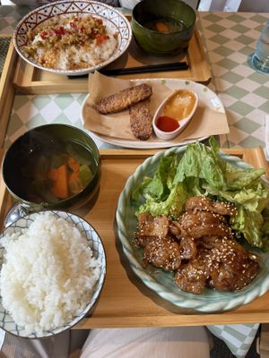 super delicious soy mince and grilled meat! easily the best soy meat I’ve ever tasted!  at Silver Backs Cafe in Kyoto