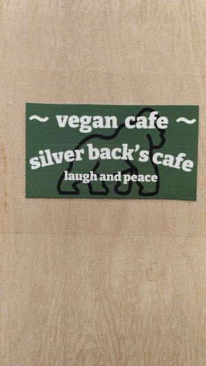  at Silver Backs Cafe in Kyoto