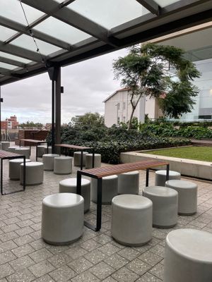  at Ballsy Tea in North Sydney