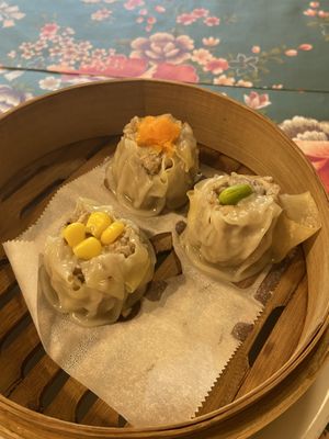 Dim summ  at Isso in Kamakura