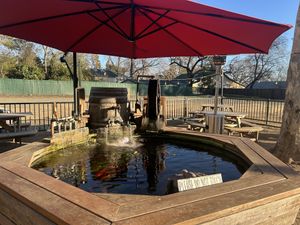 Outdoor area in back.   at Mode Brewing & Kitchen in Orangevale