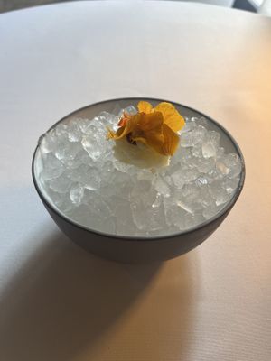   at Indienne in Chicago