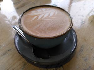 Decaf oat latte (November 2023) at Lilys of Truro Cafe in Truro