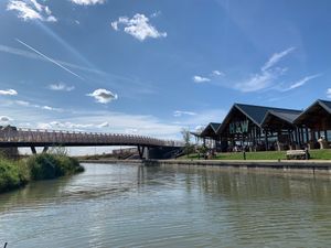  at Hall & Woodhouse in Swindon