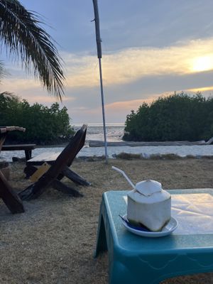 coconut / view  at JJs Bar & Grill in Koh Phayam