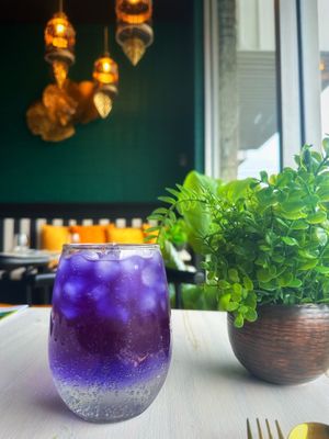  at Thai Princess in Bloomfield Township