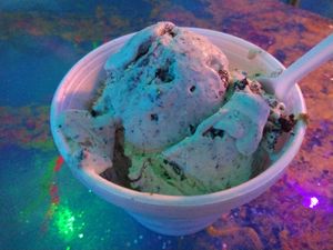 Belgian Oreo - made vegan at Best Ice Cream in Fort Myers