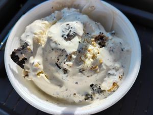 Belgian Oreo (asked for it vegan) at Best Ice Cream in Fort Myers