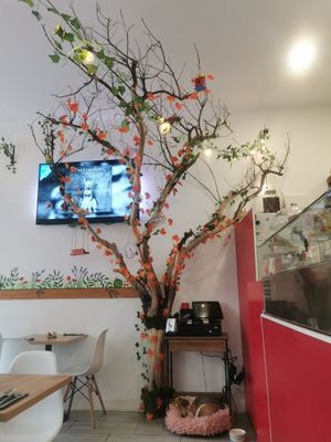  at Le Rouge-gorge Restaurant in Menton