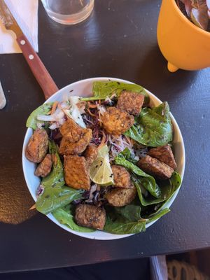 Noodle salad with tempeh  at Nomi the Karakal in Malmo