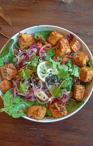 Noodl salad with tempeh at Nomi the Karakal in Malmo