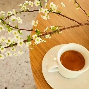  at Janggogae 1987 in Busan