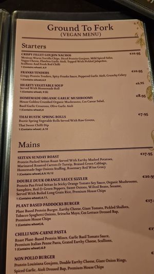 Vegan menu 2  at Botanic House in Dublin