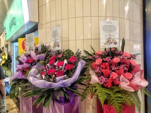 Congrats on their opening at Origanics - 启点 - Sengkang Grand Mall in Northeast Singapore