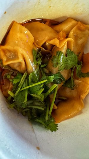 Szechuan wontons 😍🥰  at Vegan District Asian Eatery in Anaheim