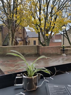  at VeGaNuTi in Yeovil